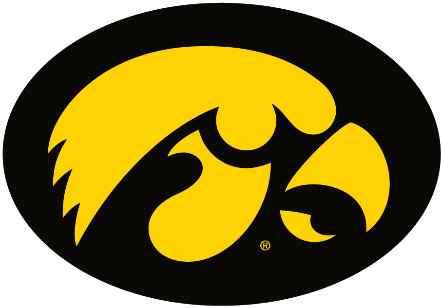 Iowa Hawkeyes 1979-Pres Primary Logo fabric transfers